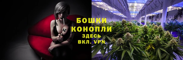 твердый Зеленокумск
