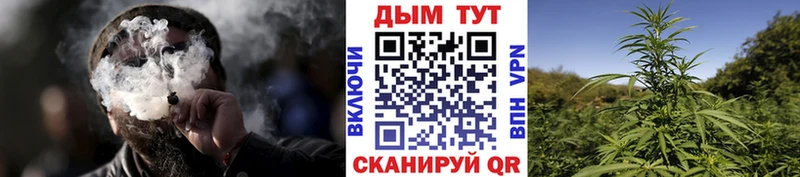 купить наркотик  Калач-на-Дону  Канабис ГИДРОПОН 